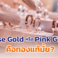 Roseandpinkgold cover